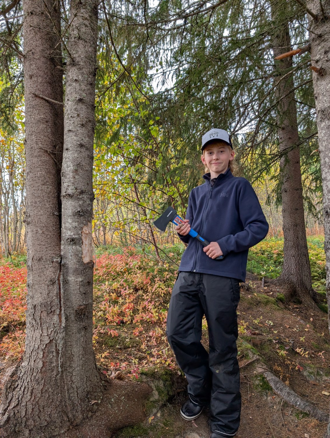 Main Image